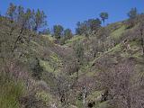 Pinnacles NM 017